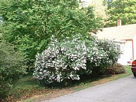 small house in Amherst, MA (Photo 2 of 4)
