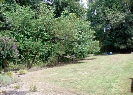 Weddington Schools in Wesley Chapel, NC (Photo 4 of 6)