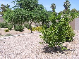 Huge property Close to Downtown Phoenix in Phoenix, AZ (Photo 3 of 6)