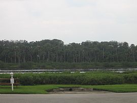 Nice Manufactured Home Across From Ocean in Flagler Beach, FL (Photo 6 of 6)