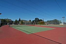 PET FRIENDLY  in Roseville, CA (Photo 4 of 6)