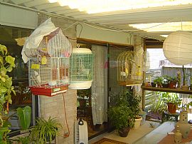 Miller's Point In Converse in Converse, TX (Photo 6 of 6)