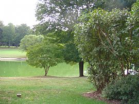 Renovated & Spacious Georgian Townhouse in Reston, VA (Photo 3 of 6)