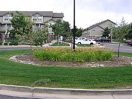 Open Layout +Loft+Attached Garage in Aurora, CO (Photo 3 of 3)