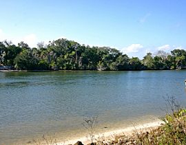 Flagler County, Gated, A1A, Hammock in Palm Coast, FL (Photo 5 of 5)