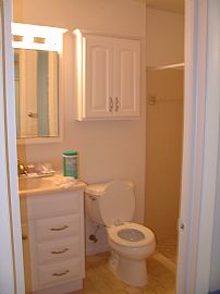 Nice & Clean Single Family Home 3/2/2 in Oldsmar, FL (Photo 3 of 6)