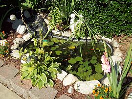 A Diamond in the Rough in Oklahoma City, OK (Photo 2 of 6)