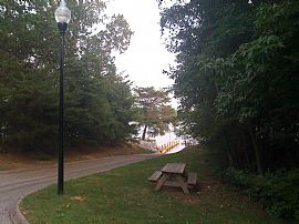 Big & Beautiful Townhouse by the water! in Baltimore, MD (Photo 4 of 6)