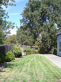 A Beautiful Home in Brook Berry in Larkfield, CA (Photo 6 of 6)