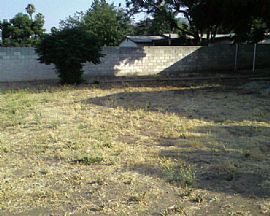 2 bed room home! in Sylmar, CA (Photo 4 of 4)