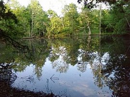 Affordable Mobile Home Country$175/week in Coldwater, MS (Photo 2 of 5)