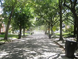 Short lease for gorgeous 2/1 in Southamp in Houston, TX (Photo 3 of 3)