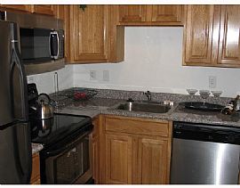 PALMS OF BEACH PARK in Tampa, FL (Photo 2 of 6)