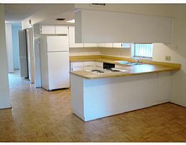 PALMA CEIA WALK TO BAYSHORE! in Tampa, FL (Photo 2 of 6)