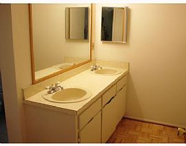 PALMA CEIA WALK TO BAYSHORE! in Tampa, FL (Photo 5 of 6)