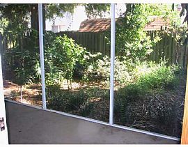 PALMA CEIA WALK TO BAYSHORE! in Tampa, FL (Photo 6 of 6)