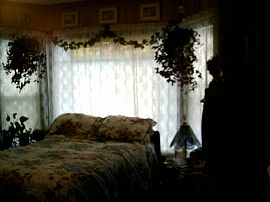 Sunny Spacious 4 Bedroom in Palmer, MA (Photo 6 of 6)