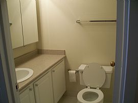 River North Remodeled Condo in Chicago, IL (Photo 1 of 4)