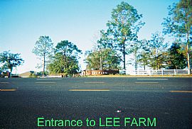 Beautiful New 3 Bedroom Brick Home with Air Conditioner in Crestview, FL (Photo 2 of 6)