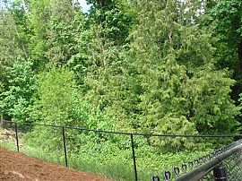 Beautiful Home in Desired Neighborhood in Longview, WA (Photo 5 of 6)