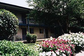 Fall ino Whispering Hills in Nashville, TN (Photo 6 of 6)