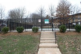 Beautiful Newly Renovated Apartment  in Madison, TN (Photo 6 of 6)