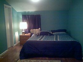 English cottage style  Cape Cod gardens in Alexandria, VA (Photo 2 of 6)