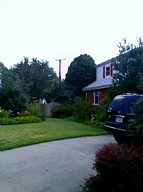 English cottage style  Cape Cod gardens in Alexandria, VA (Photo 4 of 6)