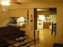 Animals welcome... Any breed and size! in Bradenton, FL (Photo 3 of 4)