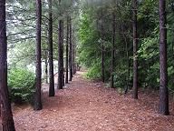 Private, cozy end unit / detached home in Alpharetta, GA (Photo 3 of 6)