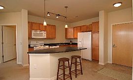 Lincoln Square Lofts-Walk 2 Light Rail! in Lone Tree, CO (Photo 3 of 5)