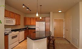 Lincoln Square Lofts-Walk 2 Light Rail! in Lone Tree, CO (Photo 4 of 5)