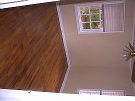 Renovated cottage on quiet street in Dothan, AL (Photo 5 of 6)
