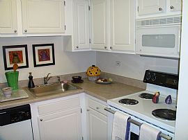 Bright and Spacious Units Available Now! in Wheeling, IL (Photo 3 of 4)
