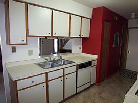 Dramatic vaulted ceiling & fireplace! in Streamwood, IL (Photo 6 of 6)