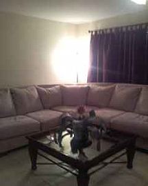 Room For Rent - Palm Beach in West Palm Beach, FL