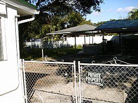 VERY NICE HOUSE FOR RENT  in Tampa, FL (Photo 3 of 6)