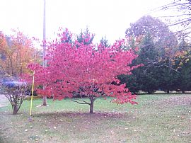 Beautiful 5 bedromm 4 bath Home  in Mill Spring, NC (Photo 3 of 4)