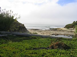 Ocean Living at it's best in Santa Cruz, CA (Photo 5 of 6)