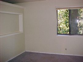 ONE IS THE LUCKY NUMBER in Boulder Creek, CA (Photo 5 of 6)