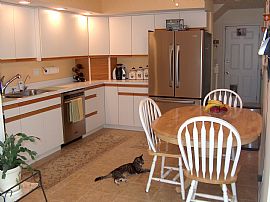 East Side St. Charles Luxurious Townhous in Saint Charles, IL (Photo 2 of 6)