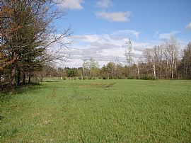 House on 25 acres in Hancock, WI (Photo 4 of 6)