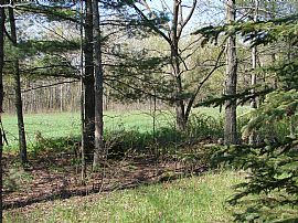 House on 25 acres in Hancock, WI (Photo 5 of 6)