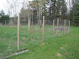 House on 25 acres in Hancock, WI (Photo 6 of 6)
