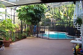 Updated Seminole Pool Home in Seminole, FL (Photo 4 of 6)