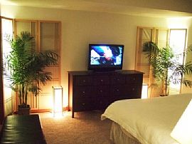 Fully Furnished Luxury Condo in Denver, CO (Photo 2 of 6)