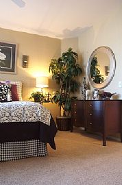 A Distinctive Address in Denver, CO (Photo 2 of 5)