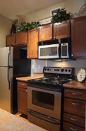 Work. PLay. Live. Here in Denver, CO (Photo 2 of 4)