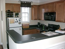 Brand New Townhouse in Cornelius, NC (Photo 3 of 4)