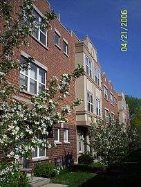 Beautiful 2 Bdrm + 2 Bath Townhome in Chicago, IL
